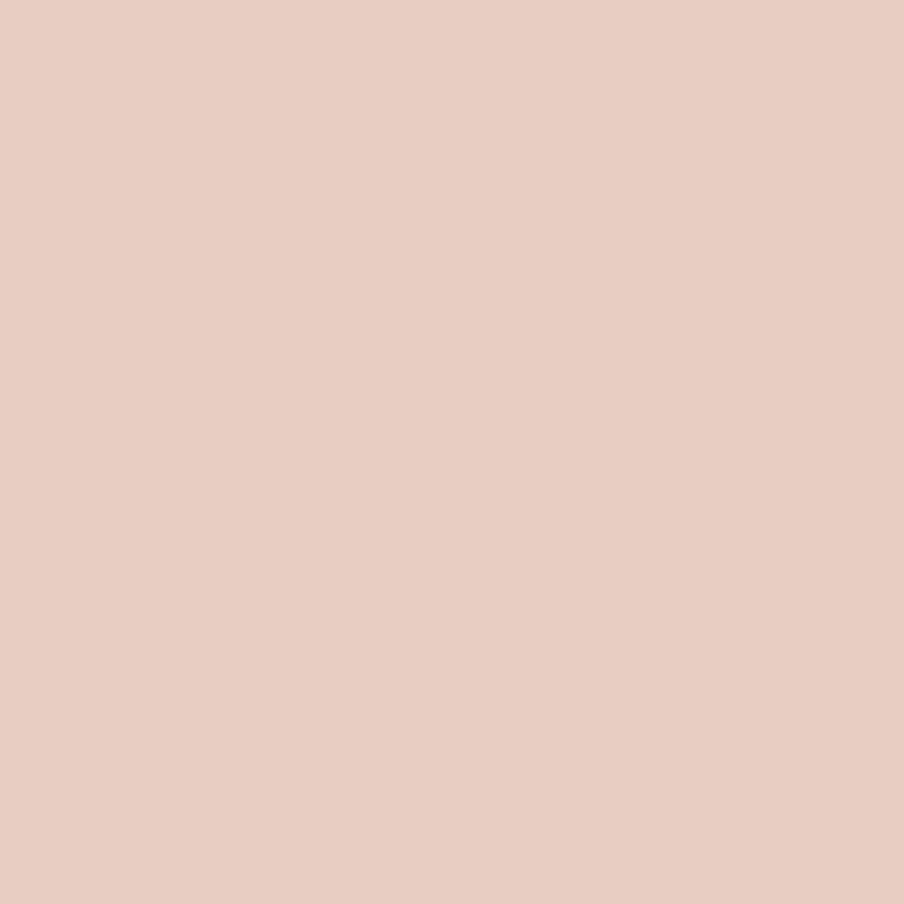Haus Labs Triclone Skin Tech Concealer